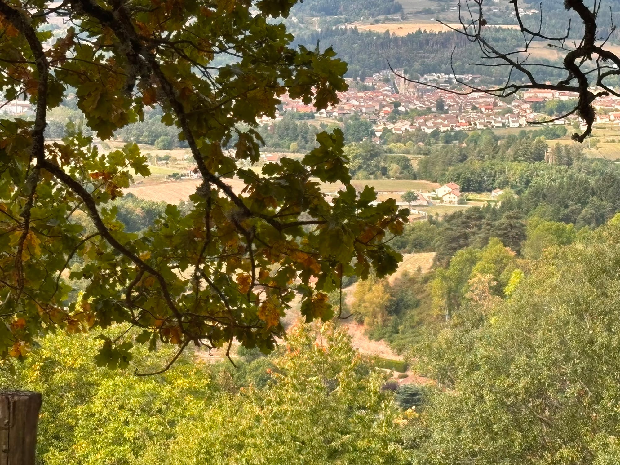 Randonnée et vélo autour d’Ambert
